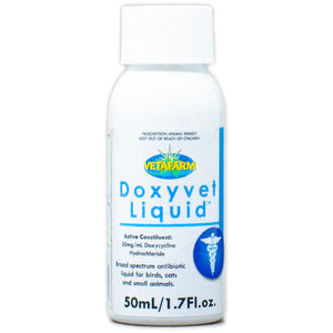 Doxyvet Liquid doxycycline for pets 50ml