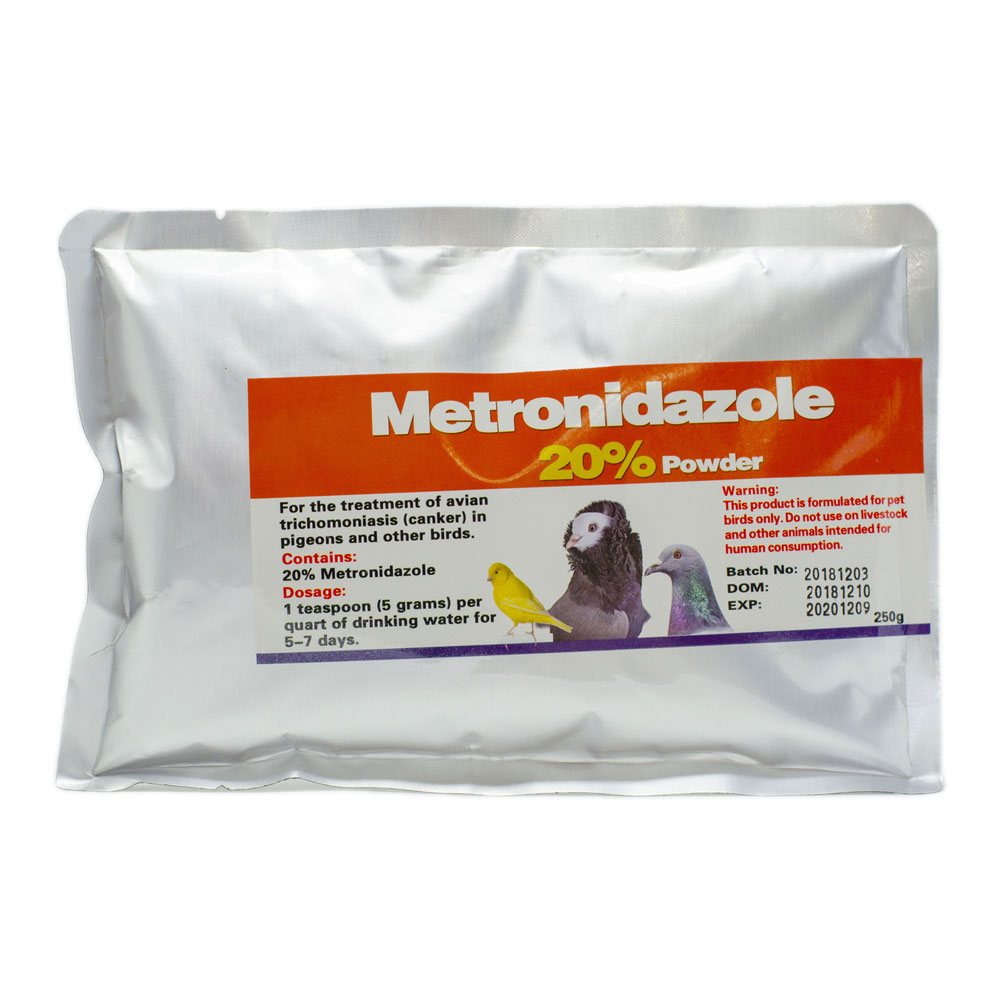 Metronidazole for protozoal infections in birds