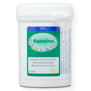 Survive emergency nutrition for sick and injured Birds 40 gram size